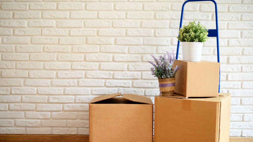 removalist service melbourne